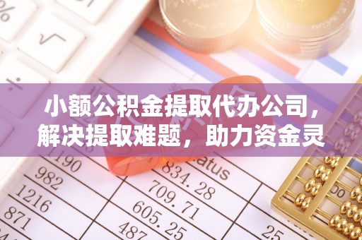 长白小额公积金提取代办公司，解决提取难题，助力资金灵活使用