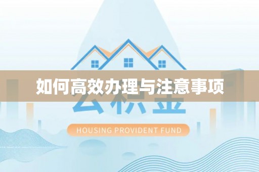 长白如何高效办理与注意事项