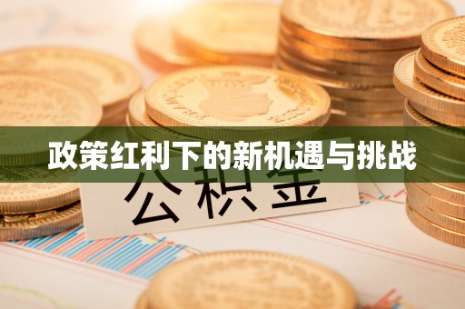 长白政策红利下的新机遇与挑战