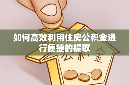 长白如何高效利用住房公积金进行便捷的提取