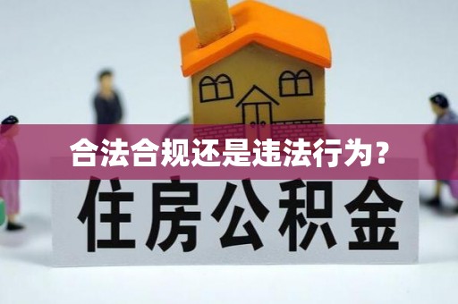 长白合法合规还是违法行为？