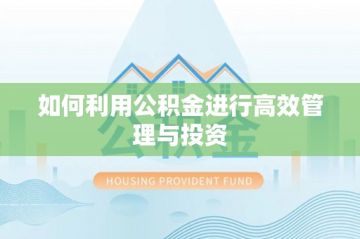长白如何利用公积金进行高效管理与投资
