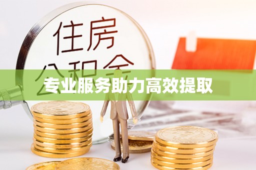 长白专业服务助力高效提取